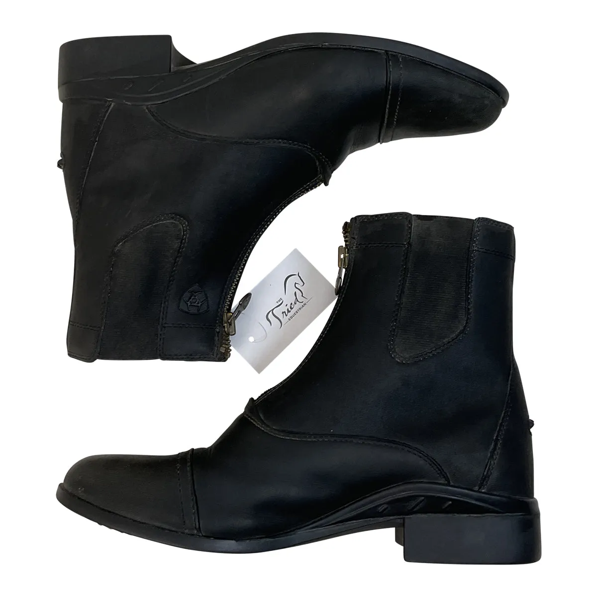 Ariat 'Scout Zip' Paddock Boots in Black - Women's 10.5