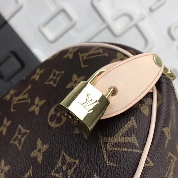 Louis Vuitton Speedy 30 Bag Monogram Canvas